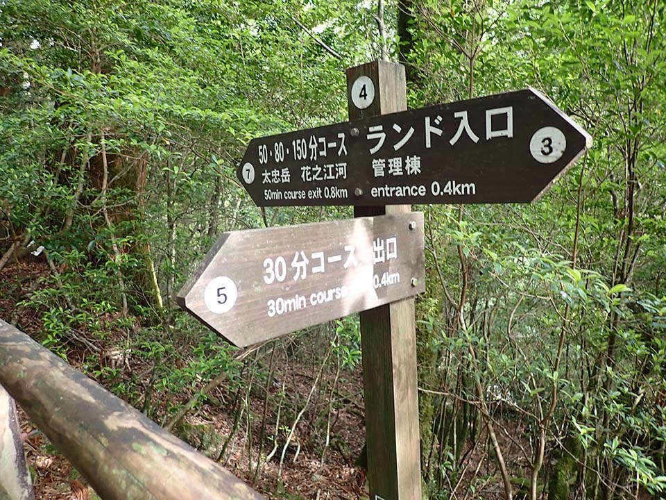 Branch A_(4) The signs point to the 50, 80, and 150-minute courses, the Yakusugi Land Entrance, and the 30-minute course Exit.