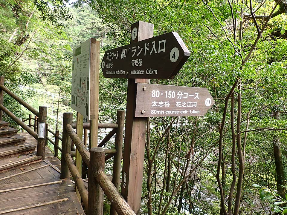 Branch C_(7) The signs point to the 50-minute course Exit, the Yakusugi Land Entrance, and the 80, and 150-minute courses. The wooden steps continue to the left.