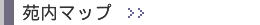 �����}�b�v