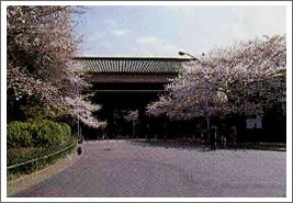 Photo: Tayasu-mon Gate and Shimizu-mon Gate