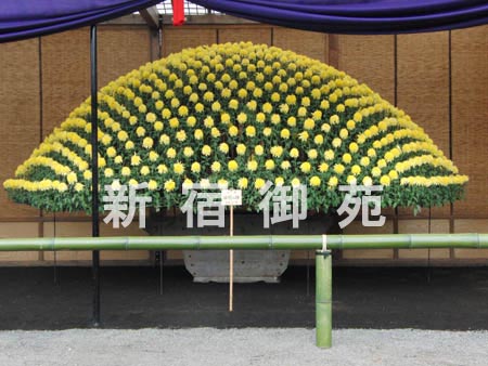 写真：大作り花壇