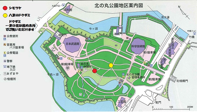 図：北の丸公園地区案内図