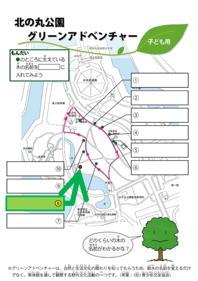 図：北の丸公園グリーンアドベンチャー、子供用コース設問８番の位置