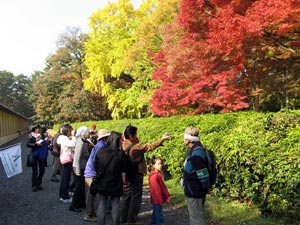 写真:昨年の様子(1一枚目)