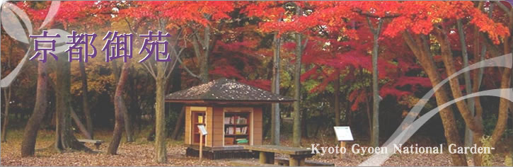 京都市内の野鳥のオアシス