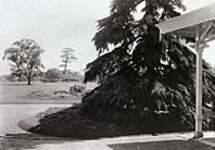 Photo:The rest house in those days
