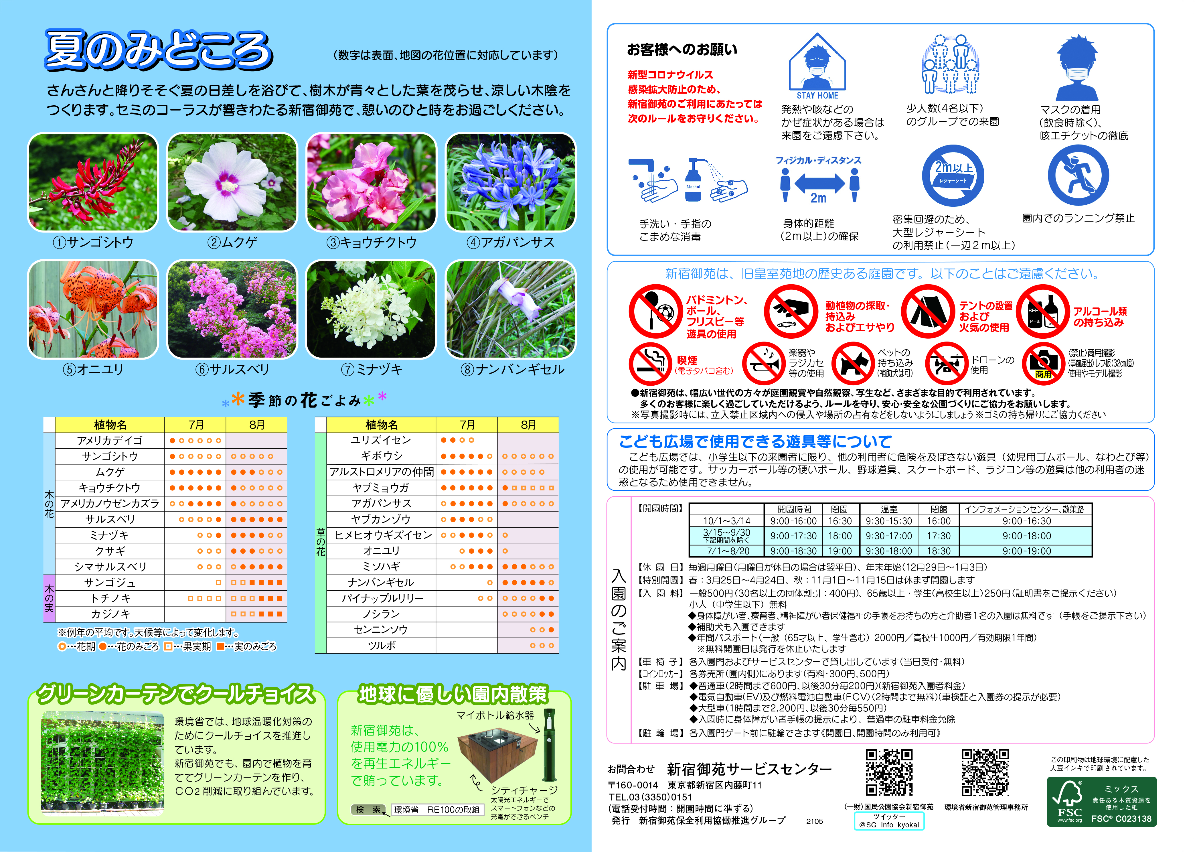 夏みごろ 夏みごろ