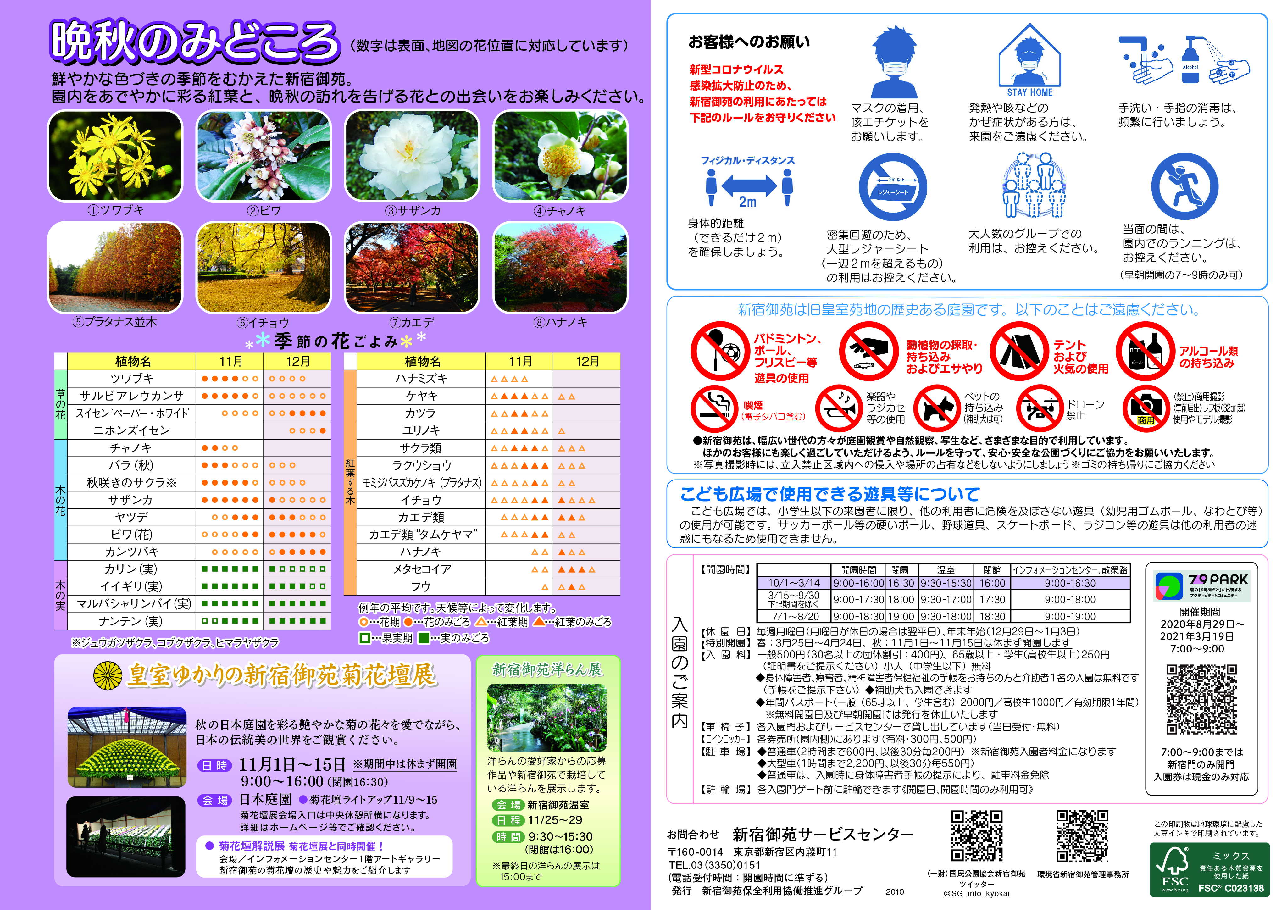 晩秋みごろ 晩秋みごろ