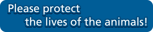 Please protect the lives of the animals!