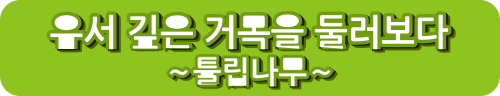 유서 깊은 거목을 둘러보다 ∼튤립나무∼
