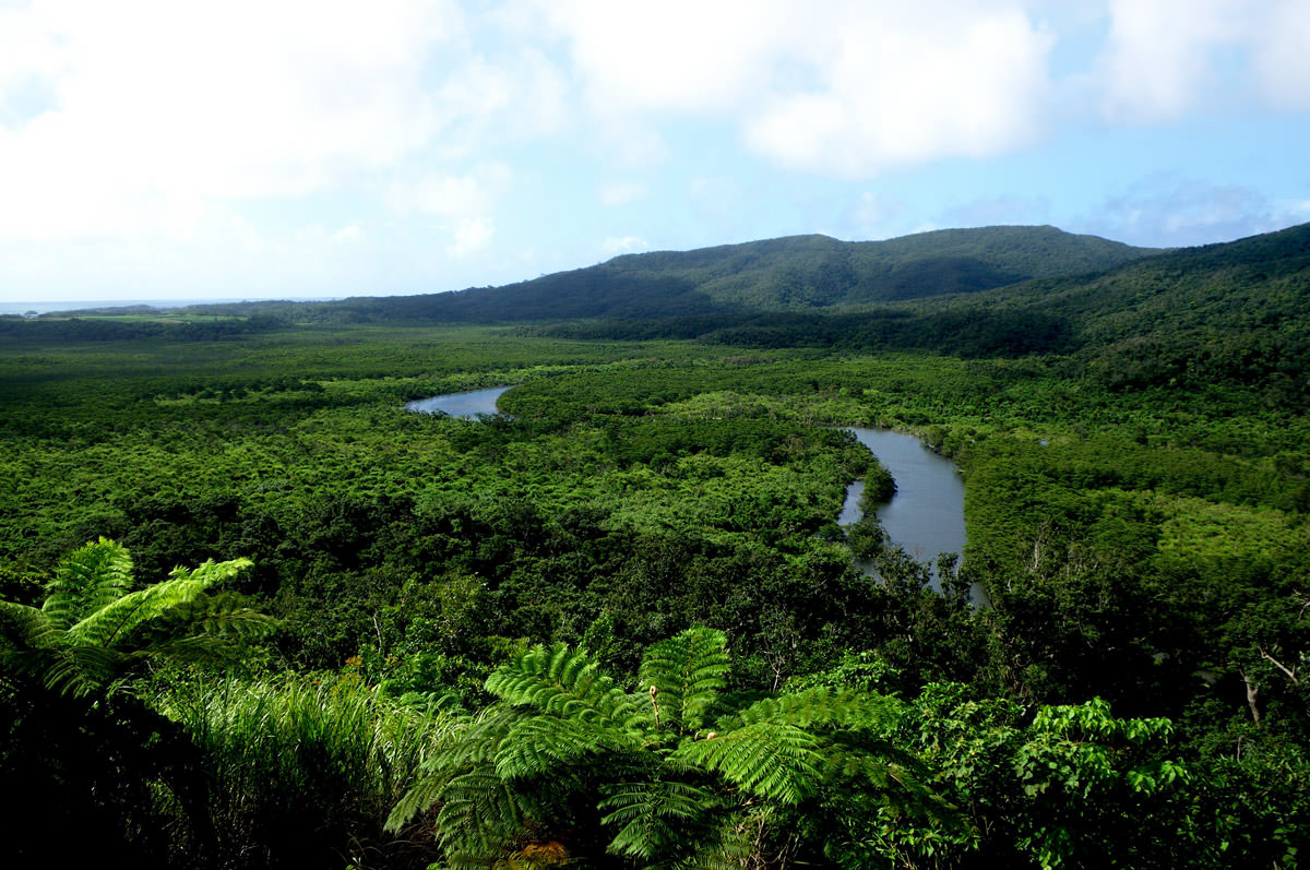 4.Iriomote Island-西表島／原生的な森林が広がる秘境の島