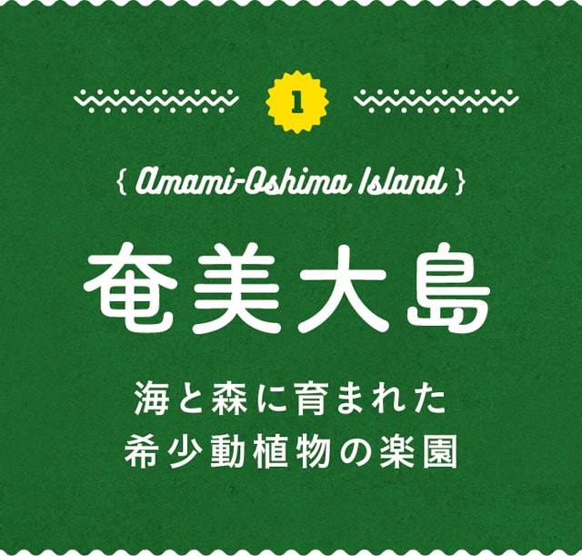 1.Amami-Oshima Island-奄美大島／海と森に育まれた希少動植物の楽園