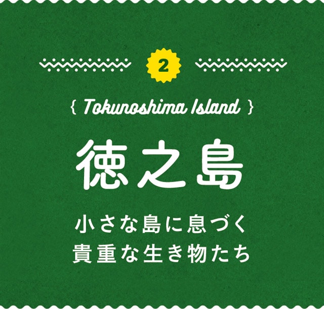 2.Tokunoshima Island-徳之島／小さな島に息づく貴重な生き物たち
