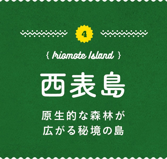 4.Iriomote Island-西表島／原生的な森林が広がる秘境の島