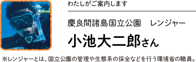 わたしがご案内します／慶良間諸島国立公園 レンジャー 小池大二郎さん　※レンジャーとは、国立公園の管理や生態系の保全などを行う環境省の職員。