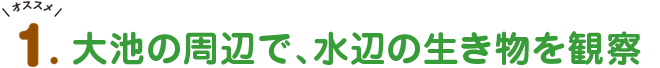オススメ1.大池の周辺で、水辺の生き物を観察