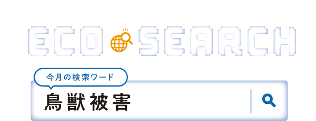 第2特集 ECO SEARCH【今月の検索ワード】鳥獣被害