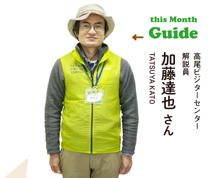this Month Guide 高尾ビジターセンター解説員 加藤達也さん