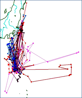 鳥島・成鳥（育雛期）の衛星追跡結果（平成20年2-3月：6個体）
