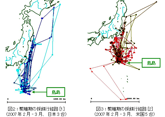 図２：繁殖期の採餌行経路[1]（2007年2月‐3月、日本3台）
図３：繁殖期の採餌行経路[2]（2007年2月‐3月、米国5台）