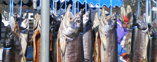 Aramaki-jake (Salmon)