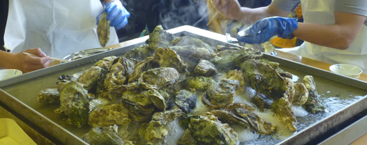 Steamed oysters at the Osakana Center, Ofunato