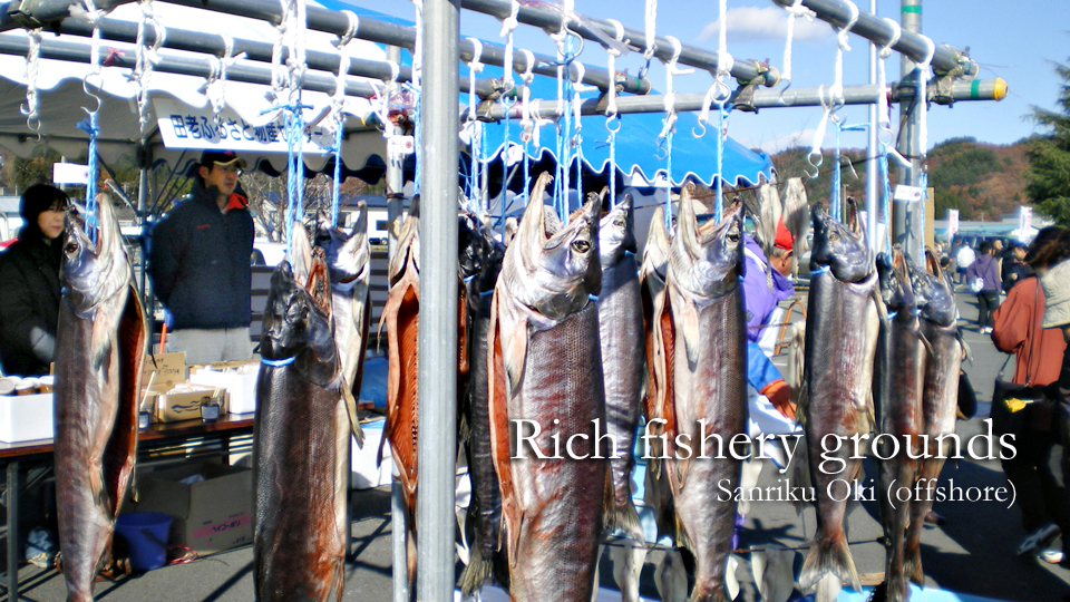 World's three richest fishery grounds, Sanriku Oki (offshore)
