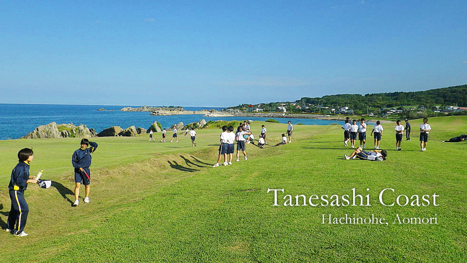 Tanesashi Coast, Hachinohe, Aomori