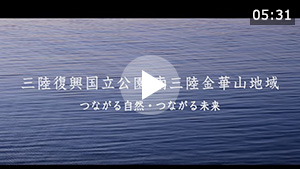 三陸復興国立公園 南三陸金華山地域