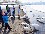 冬の屈斜路湖の自然状況調査