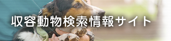 収容動物検索情報サイト