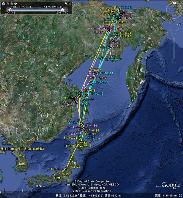 北海道で送信機を装着したコハクチョウの移動状況(拡大)
