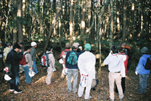 （写真） 大室山のブナ林の散策(3)