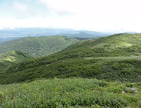 大平山自然環境保全地域