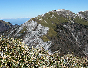 笹ヶ峰自然環境保全地域
