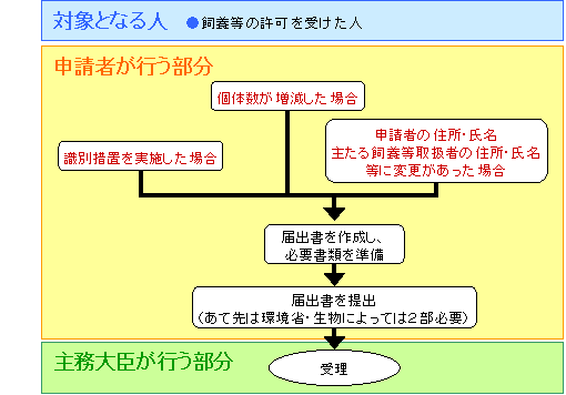 識別措置の実施、個体数の増減、申請者又は主たる飼養等取扱者の住所氏名の変更に係る手続の流れ