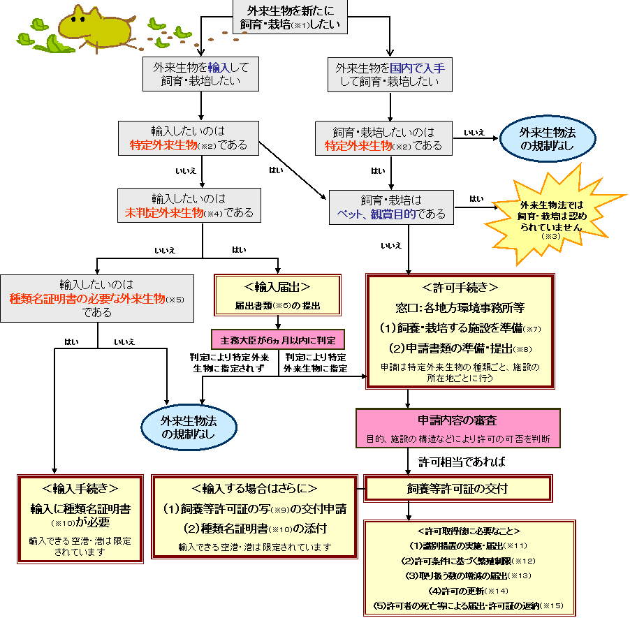 ���{���葱���t���[�`���[�g