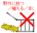 ��O�ɕ��}
