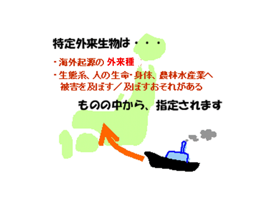 ����O�������̎w��v���̐}