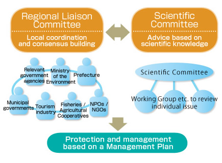Framework for Protection and Management of World Natural Heritage Properties in Japan