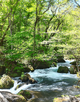 十和田八幡平国立公園