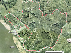 達古武地区カラマツ人工林（自然林再生事業地）