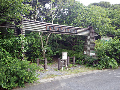 photo of Amami Nature Observation Forest