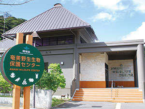 奄美野生生物保護センター外観