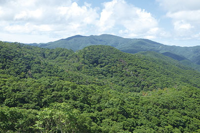 photo 1 of Amamigunto National Park