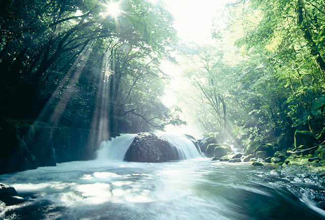 photo of Kikuchi Gorge