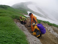 �ʐ^�F�іL�A�����j�^�����O����