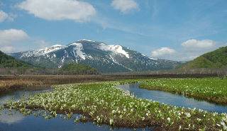尾瀬国立公園の写真