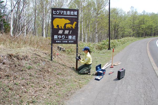 知床国立公園：ヒグマ注意看板設置作業