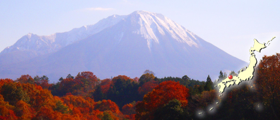 �ʐ^�F��R�B�򍑗�����